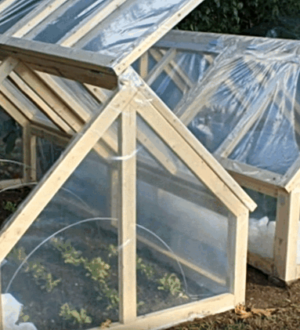 Парник для розсади з підручних матеріалів