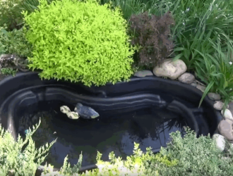 Травневий календар: що робити на дачі в саду та на городі