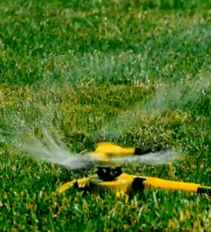 Як доглядати за газоном влітку: полив, стрижка підживлення