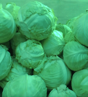 Заготівля капусти в домашніх умовах