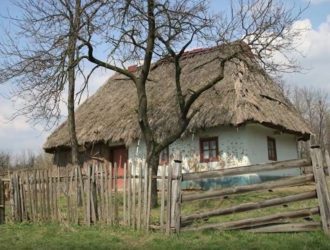 Таланти твої Україно 2: «Рідний край», «Роздум», «Земля»