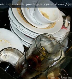 Миючі та чистячі засоби для кухні своїми руками