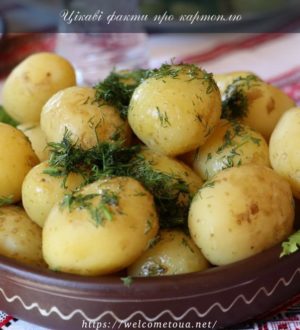 Цікаві факти про картоплю: як готувати, користь та смак