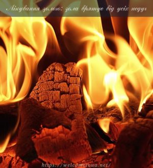 Лікування золою народними засобами: зола від усіх недуг