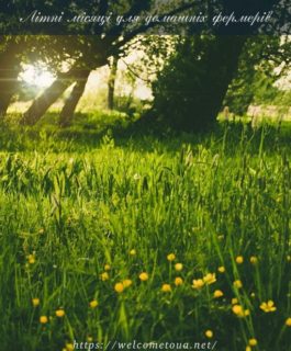 Літні місяці для домашніх фермерів