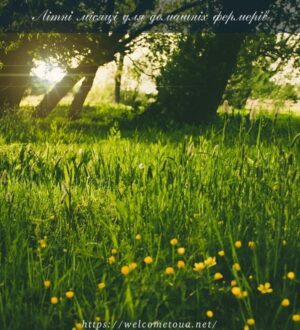 Літні місяці для домашніх фермерів: заготівля кормів на зиму