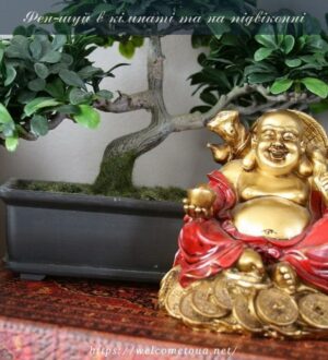 Фен-шуй у будинку