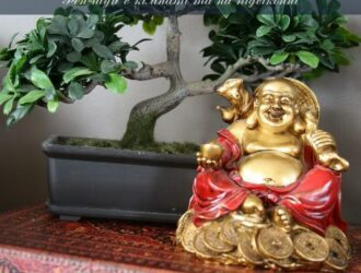 Фен-шуй у будинку