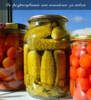 Кислотність заливки: як її розрахувати при заготівлі овочів