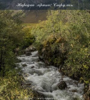 Народна лірика: із українських джерел народної душі