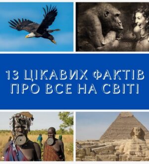 13 цікавих фактів про все на світі: джерело знань