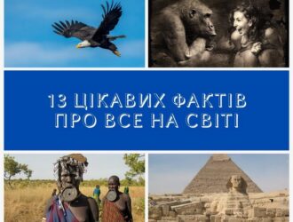 13 цікавих фактів про все на світі: джерело знань