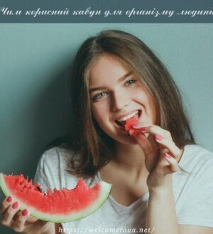 Чим корисний кавун для організму людини: корисні властивості кавуна