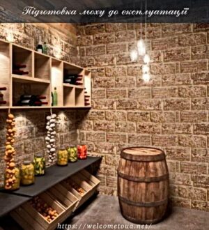 Підготовка льоху до експлуатації в новому сезоні