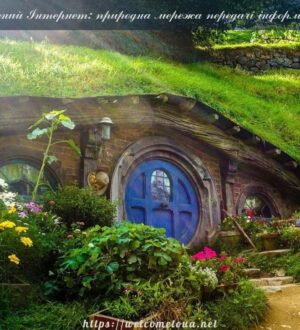 Зелений Інтернет: природна мережа передачі інформації