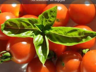 Як виростити помідори на підвіконні