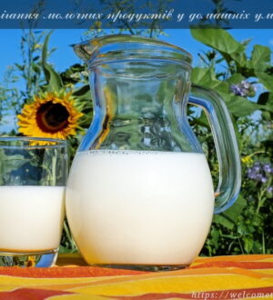 Зберігання молочних продуктів в домашніх умовах