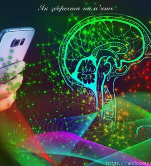 Як зберегти пам’ять: корисні поради, меню для забудькуватих