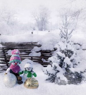 Кольори Нового року для новорічної прикраси будинку