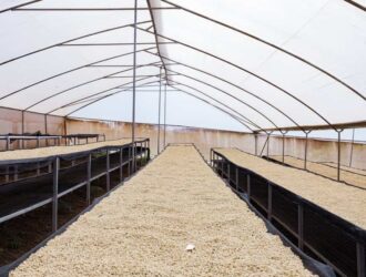 Підготовка теплиці до нового сезону