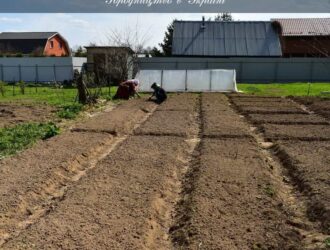 Городництво в Україні