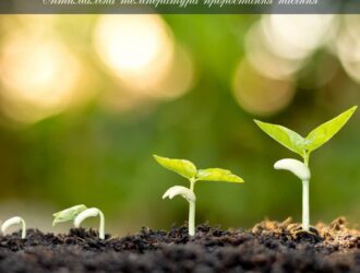 Оптимальна температура проростання насіння