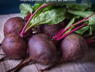 Вирощування буряків на насіння