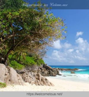 Відпочинок на Сейшелах