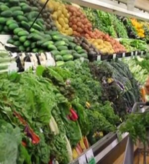 Чому люди відмовляються від м’яса і обирають вегетаріанство