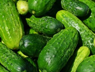 Як зберегти огірки свіжими надовго