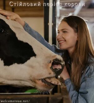 Стійловий період корови із грудня по березень