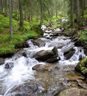 Похід на Говерлу: Всі маршрути і програми сходження 2024