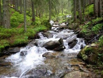 Похід на Говерлу: Всі маршрути і програми сходження 2024