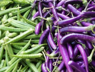 Вирощування бобів