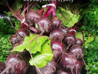 Вирощування буряку