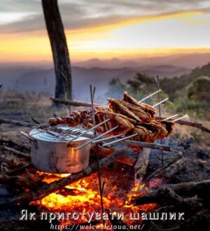 Як приготувати шашлик