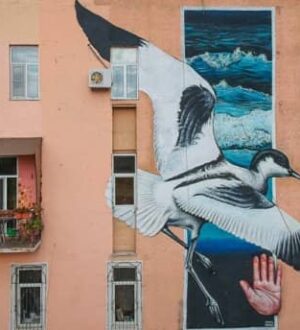 Топ найкрасивіших муралів в Україні