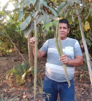 Подорож до Південної Америки: індіанці Еквадору