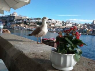 Зима в Лісабоні: погода, рослинність, парки