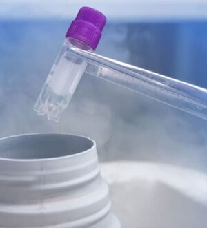 Кріоконсервація ооцитів: коли жінка сама керує своїм майбутнім