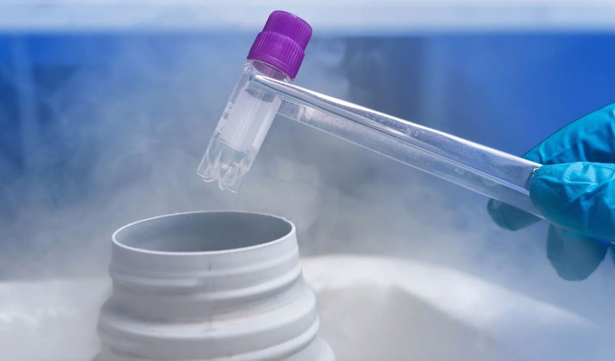 кріоконсервація ооцитів