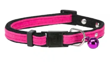 Какими бывают ошейники для котов и как их выбрать