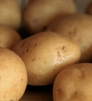 Як вибрати картоплечистку для шкільного харчоблоку: поради експертів