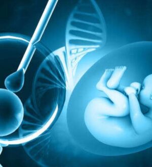 Державна програма ЕКЗ: як отримати підтримку у клініці «Мати та дитина»