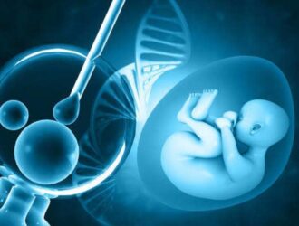 Державна програма ЕКЗ: як отримати підтримку у клініці «Мати та дитина»