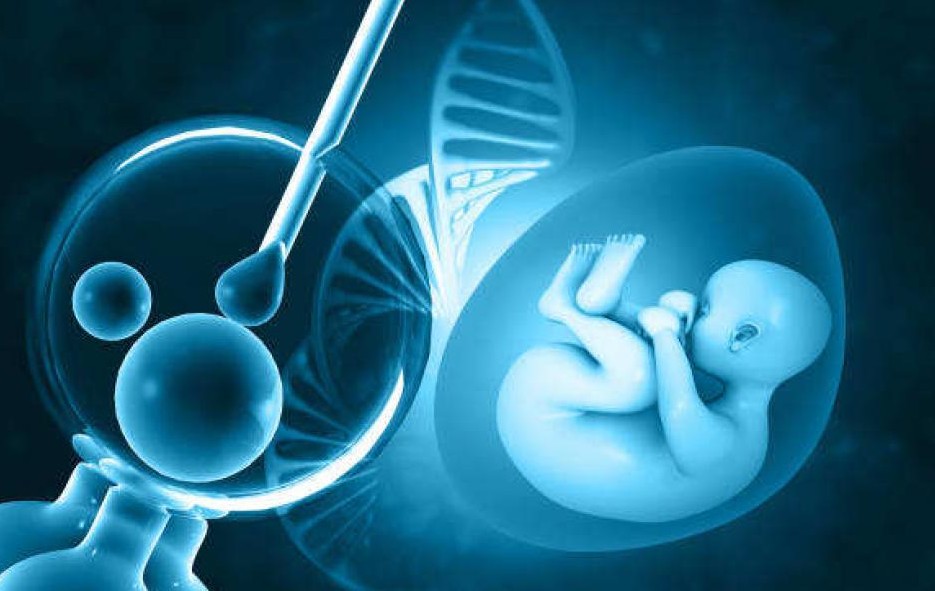 державна програма ЕКЗ
