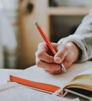 Smile English School: быстрое обучение английскому языку онлайн