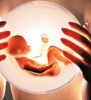 Клініка репродуктивної медицини Litaclinic: експертний огляд та сервіс