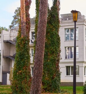 SPA готель з басейном під Києвом: незабутній відпочинок для кожного