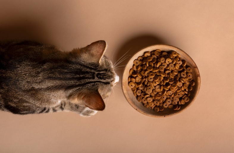 корм для кішок Клуб 4 Лапи